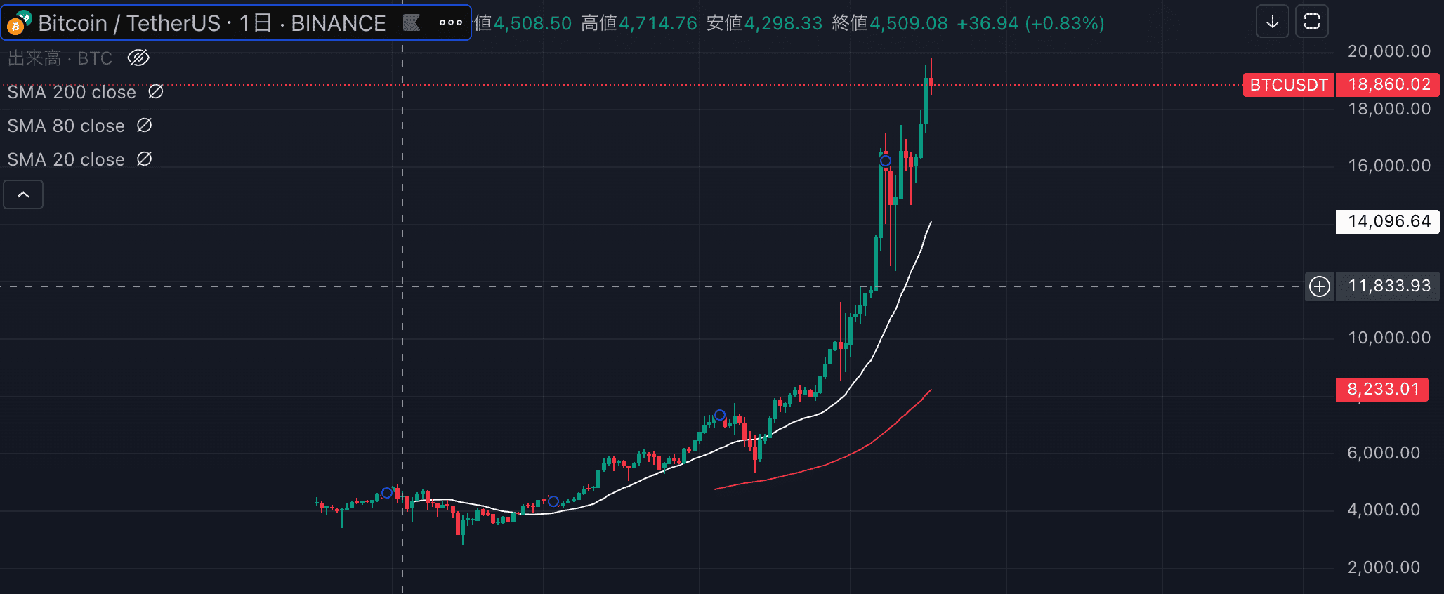 ビットコイン第一回バブル期の価格
