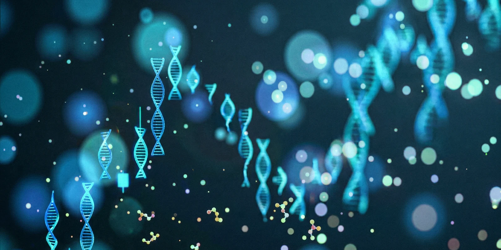 ヘルスケア・育毛ケア商品事業